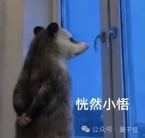 HYROX嘲笑张继科,戳破了中产付费军训的另一面