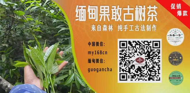 故事：女孩失踪20年，被狼群养大，被救援队找到时，却发现她生过3个孩子，然而孩子的真实身份却让警方沉默！