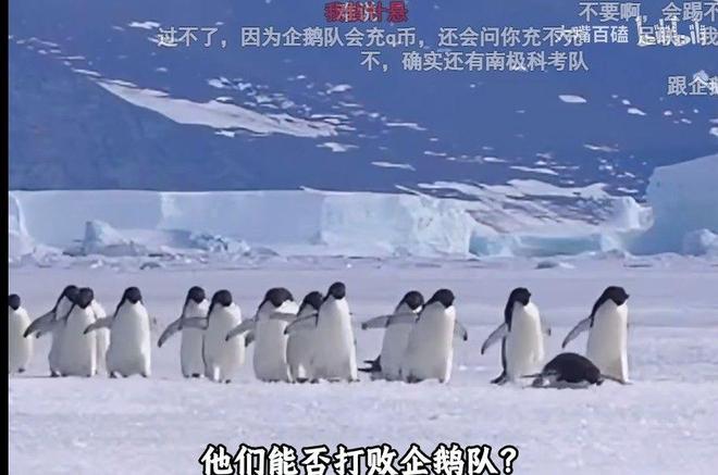 两年过去了,我依然很怀念那个夏天