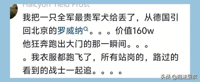 胡金秋:最爱玩金铲铲,第一份工资和队友吃了麦当劳