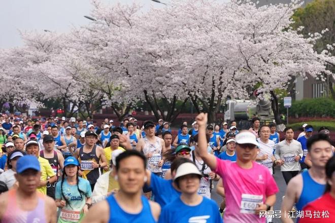 官网更新FMVP排行榜:布伦森居首尼克斯包揽前三 文班仅排第五