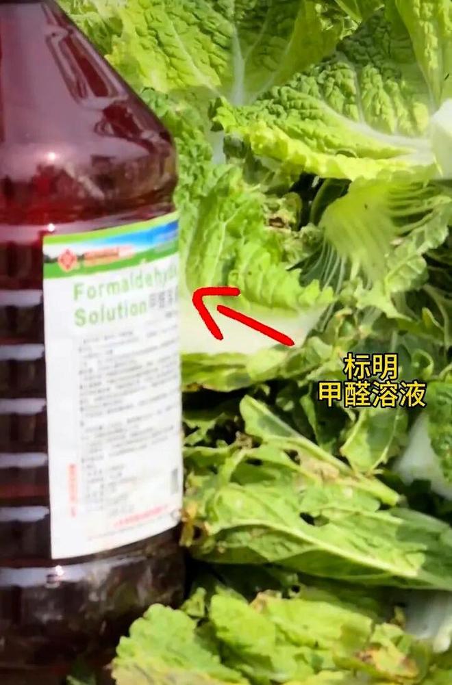 曼联巴黎哭晕!1.3 亿世界杯天才只想去利物浦!拦都拦不住!