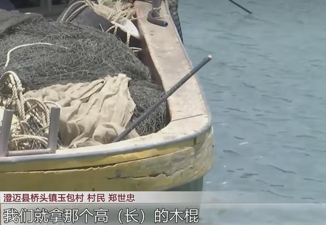 成就三冠王!樊振东独得两分,萨尔布吕肯赢得乒乓球德甲冠军