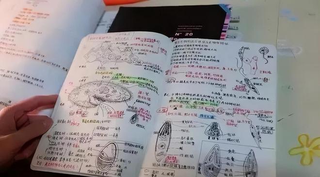 湖人追库明加获重大进展,美媒曝四队大交易方案:送走克内克特