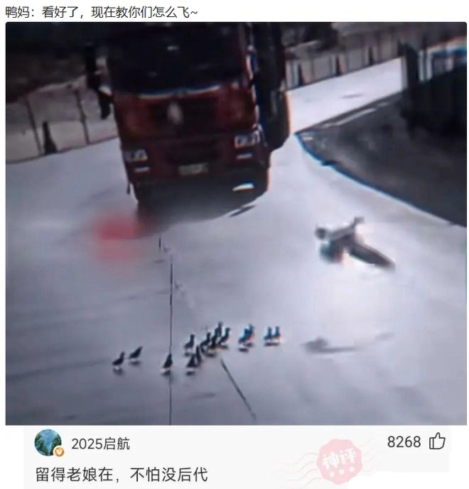 日本访华议员放话,高市早苗不可能道歉,中日友好彻底成为历史?