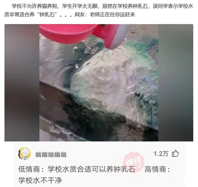 日本访华议员放话,高市早苗不可能道歉,中日友好彻底成为历史?