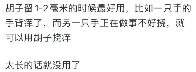 骑士计划保留现有核心阵容